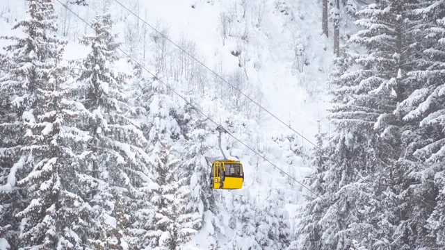 Skidresor till Leogang